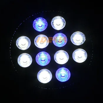 Noul LED Acvariu Recif de Corali lumina 15W-54W Alb Albastru 60 de grade E27 Epistar Bec Led-uri Cresc Rezervor de Pește lampa